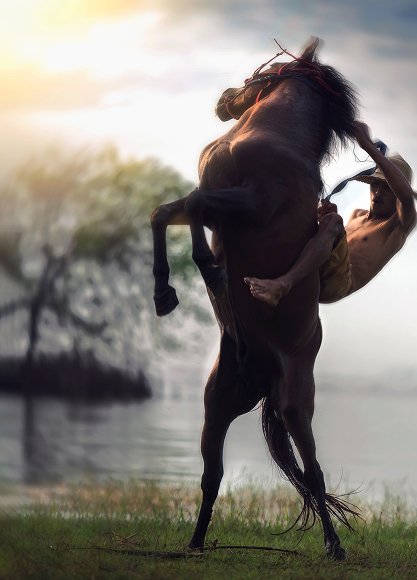 Horse Racing